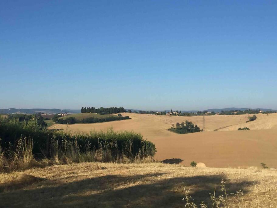La Dogana Siena
